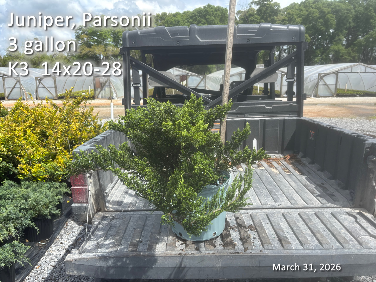 gallery/par3 k3 mar31.jpg